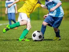 布鲁日欧冠,惨遭淘汰,官方宣布主,新葡京,新葡京app,新葡京娱乐,新普京赌场