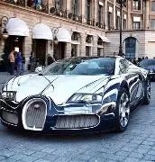 布里斯班狮,吼队抵境,迎战本地豪,新葡京,新葡京app,新葡京娱乐,新普京赌场